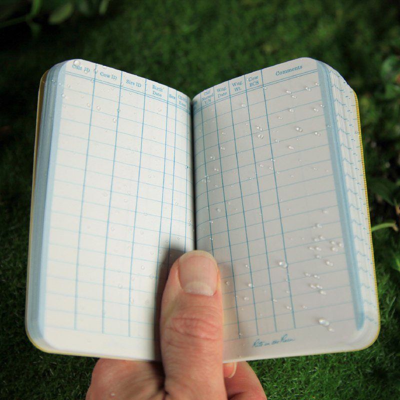 Rite in the Rain 1621 Beef Calving Record Book