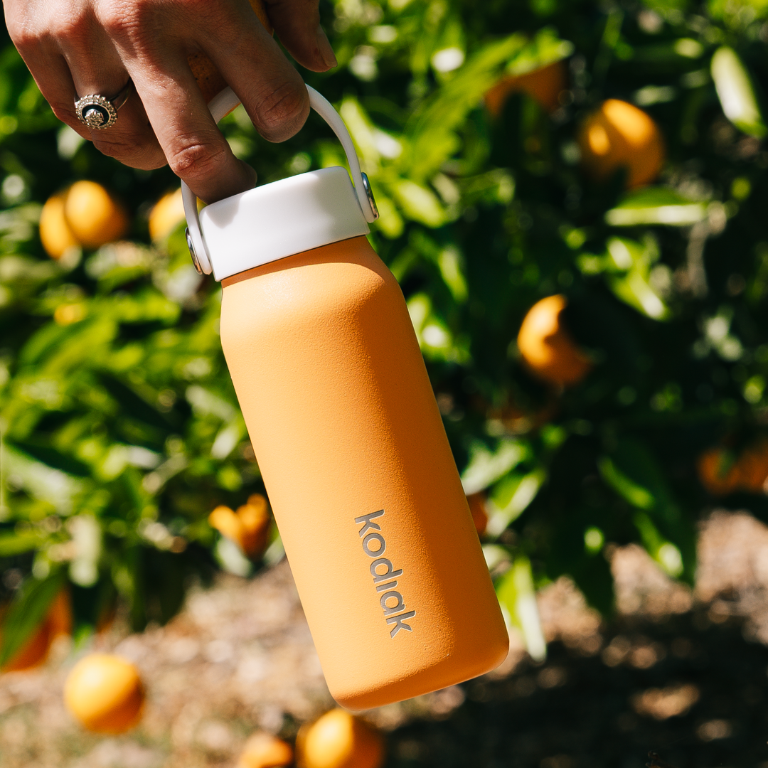 Kodiak Impact 250ml Insulated Small Bottle with Straw Lid